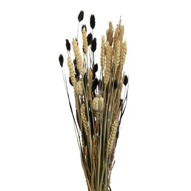 Droogbloemen boeket mix - zwart - klein - Leen Bakker