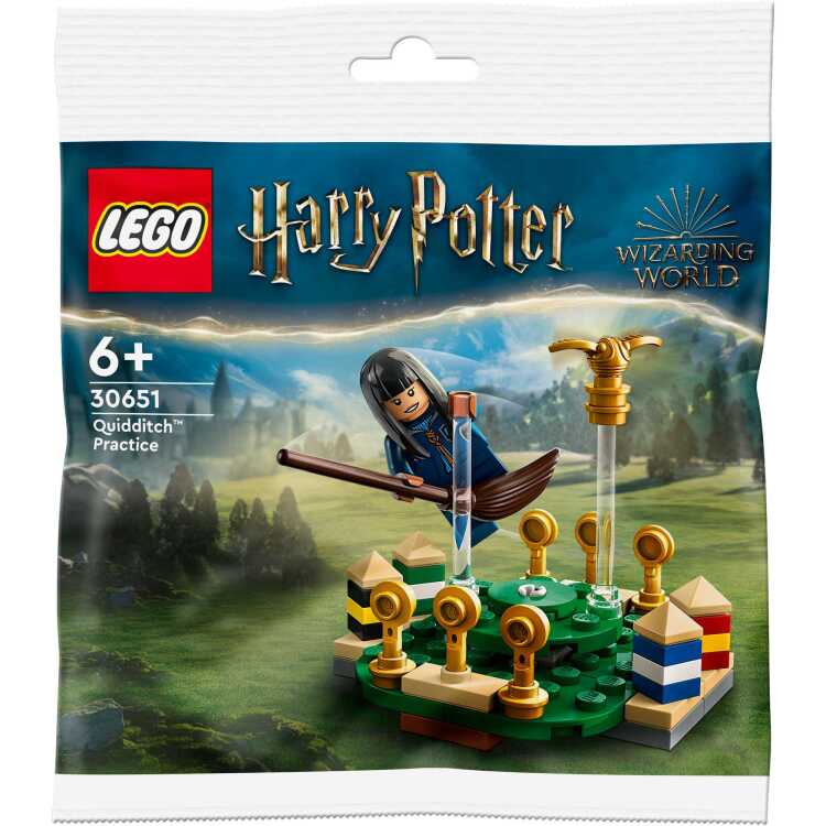 LEGO Harry Potter - Zwerkbal training constructiespeelgoed 30651