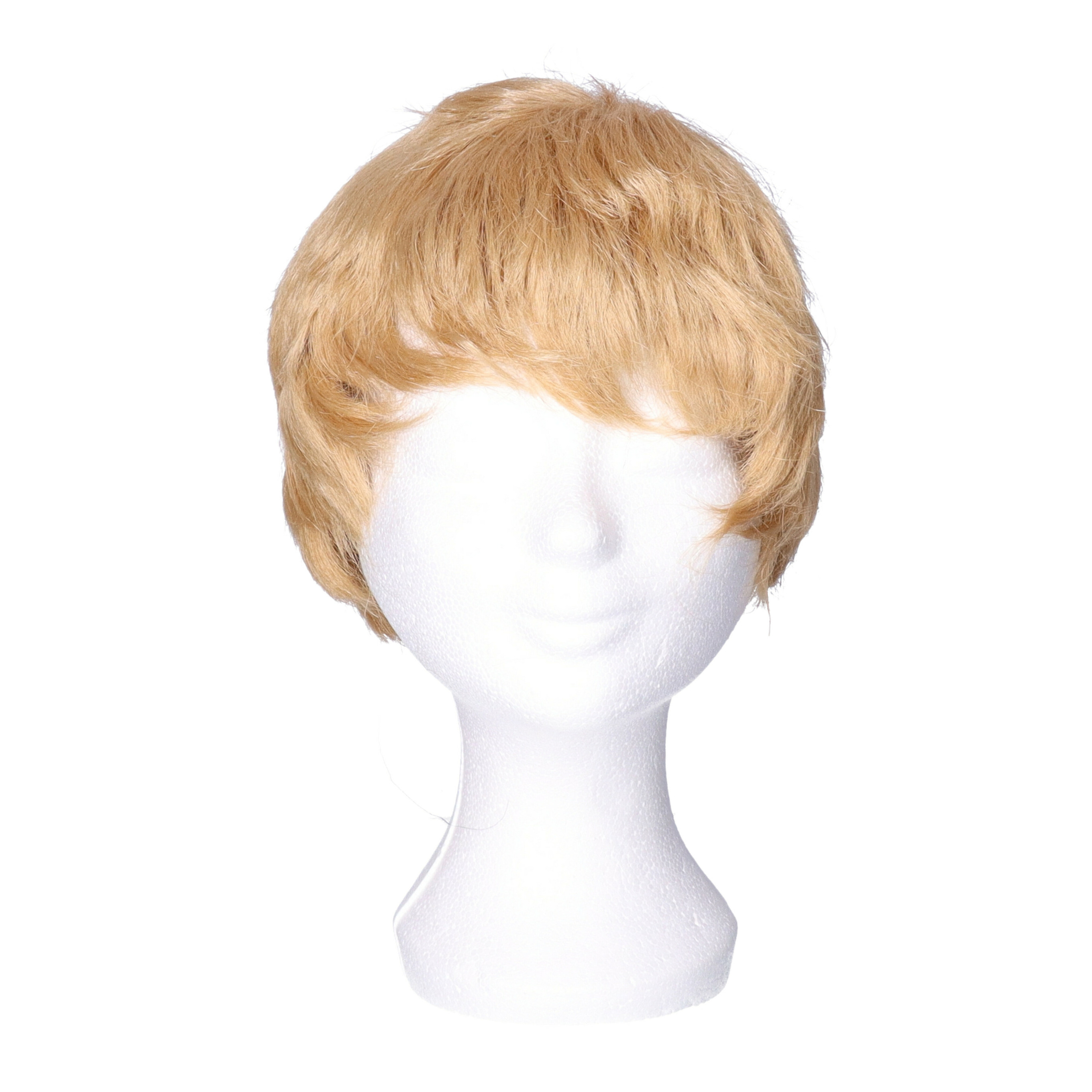 Verkleedpruik voor heren - blond - Seventies/popster/sixties/surfboy - Carnaval - kort haar -