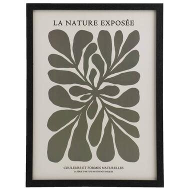 Poster La nature - MDF/glas - 30x40 cm - Leen Bakker