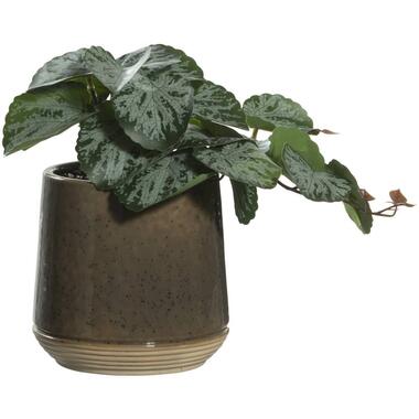 Kunstplant in pot - groen - 22 cm - Leen Bakker