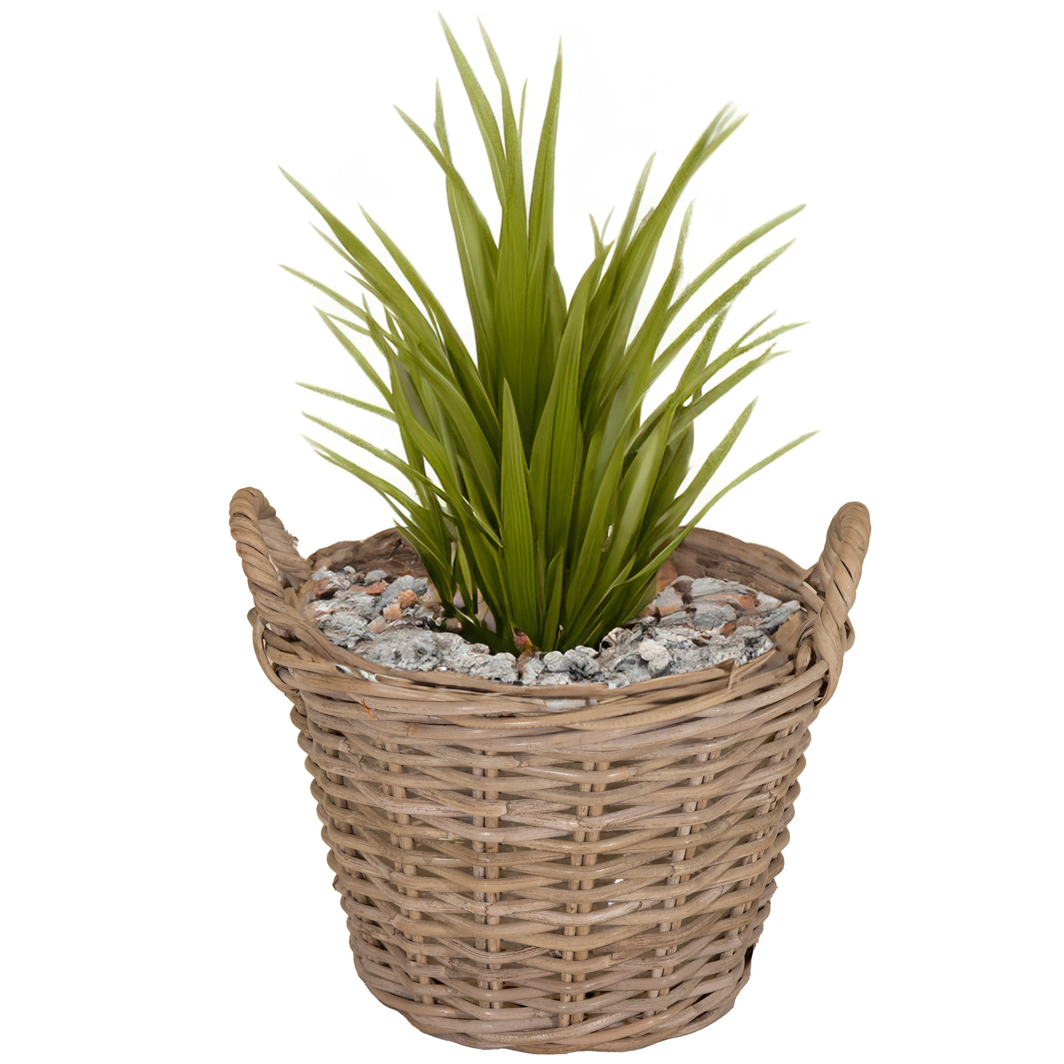 Planten/bloemen mand Levi - rotan - naturel - D39 x H25 cm - plantenpot voor buiten -