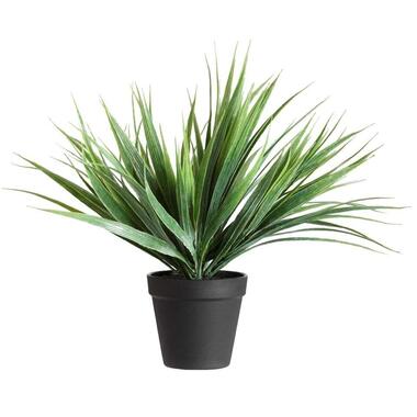 Siergras in pot - 30 cm - Leen Bakker