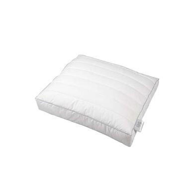Polydaun hoofdkussen First Boxer 900 gram - 60x50 cm - Leen Bakker