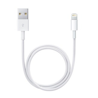 Apple Lightning-naar-USB-kabel (0,5m) Oplader Wit