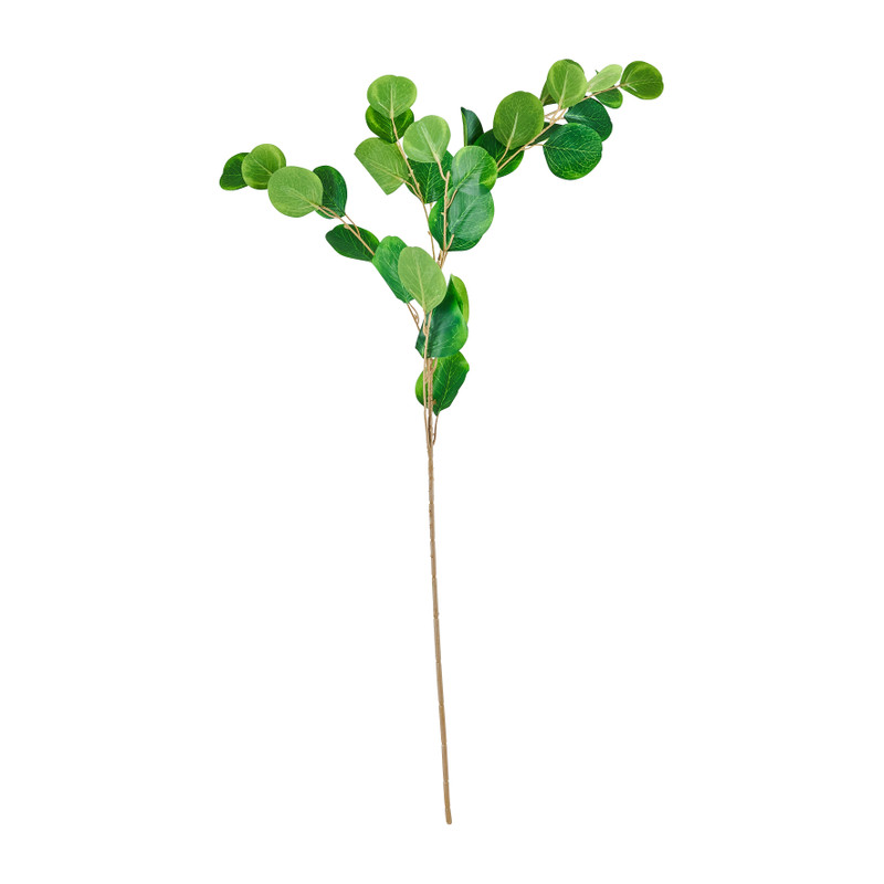 Bamboe tak rond - 90 cm