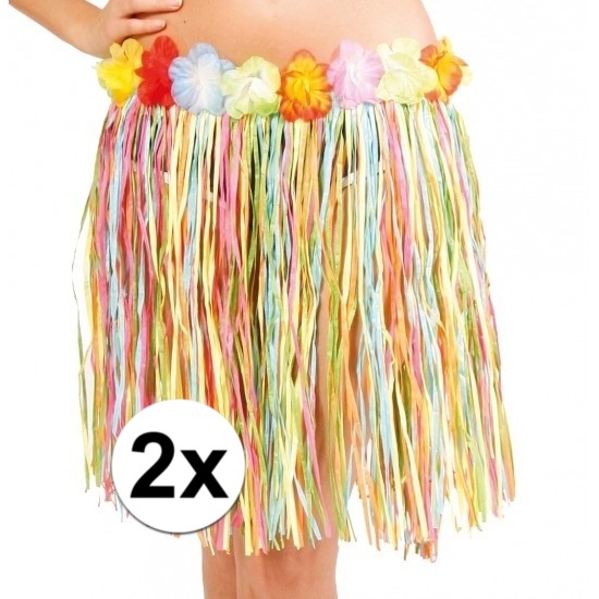 2x stuks Hawaii rokjes gekleurd 45 cm voor dames One size -