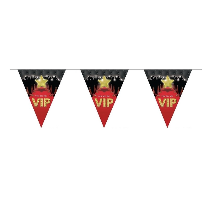 VIP vlaggenlijn 5 meter - Feestversiering vlaggetjes -