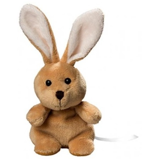 Pluche paashaas knuffel 19 cm met beschrijfbaar label -