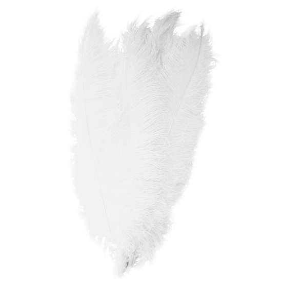 Witte spadonis sierveer 50 cm -