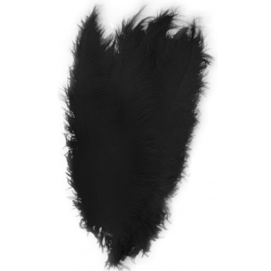 Grote veer/struisvogelveren - 1x - zwart - 50 cm - Carnaval - Sierveren/decoratie veren -