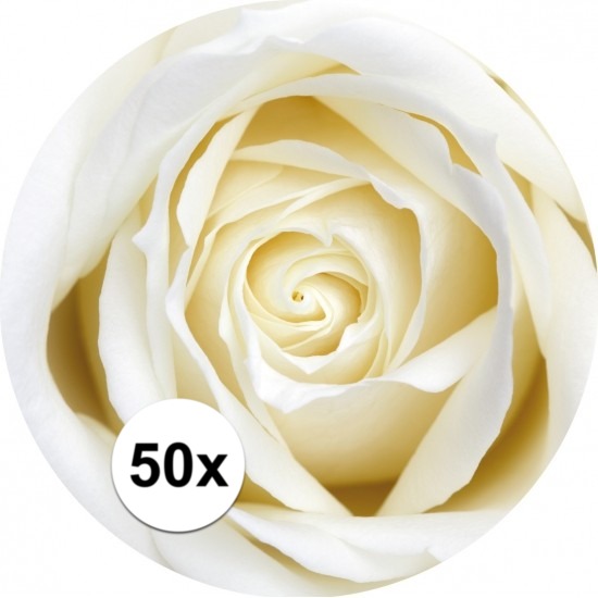 Bierviltjes witte roos 50 st -