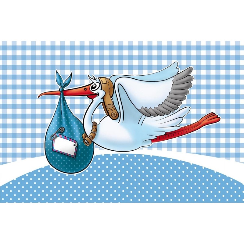Raamvlag geboorte jongen - blauw - 60 x 90 cm - polyester - kraamversiering - feestartikelen -