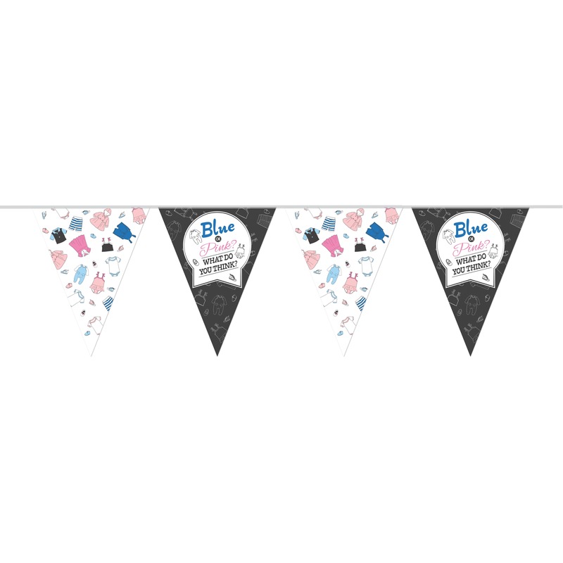 Vlaggenlijn gender reveal party/feest slinger 10 meter -