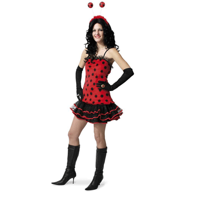 Lieveheersbeestje jurkje kostuum dames verkleedkleding 36 (S) -