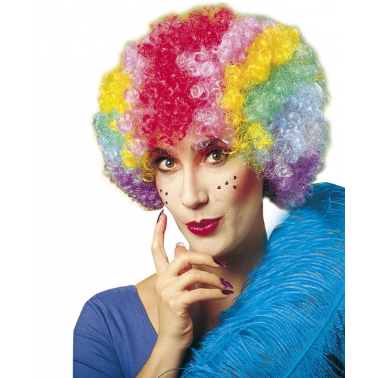 Carnaval pruik Clown - Gekleurde clownspruik voor volwassenen -