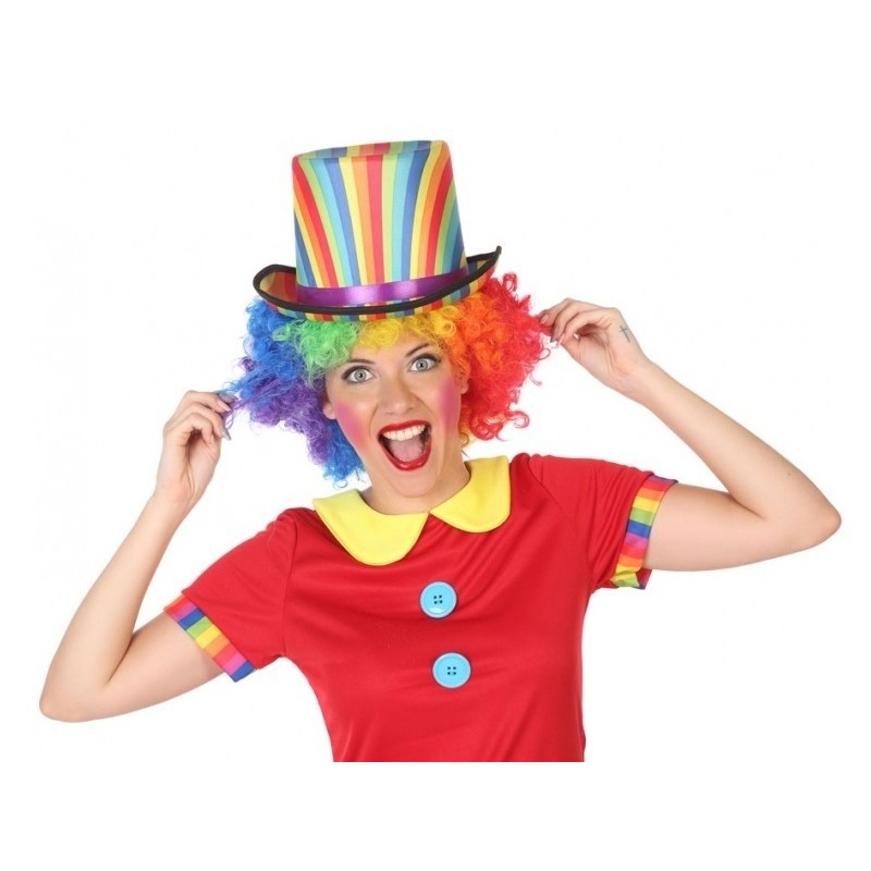 Gekleurde hoge clown verkleed hoed voor volwassenen -
