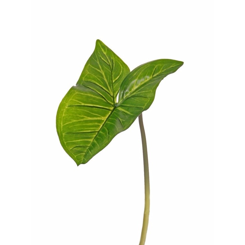 Kunstplant tak bladgroen - Aronskelkblad - 53 cm -