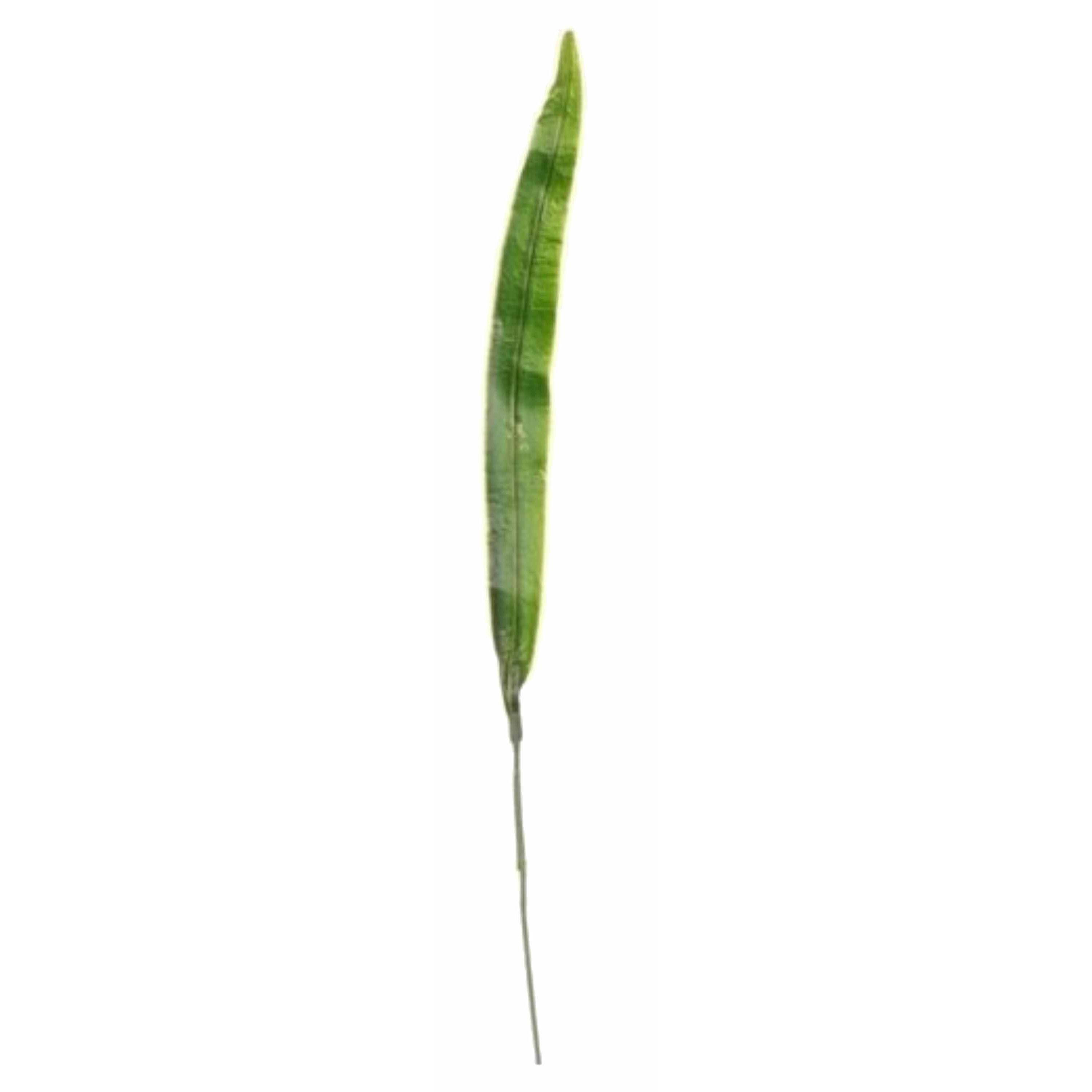 Kunstplant tak Gladioolblad bladgroen 40 cm -