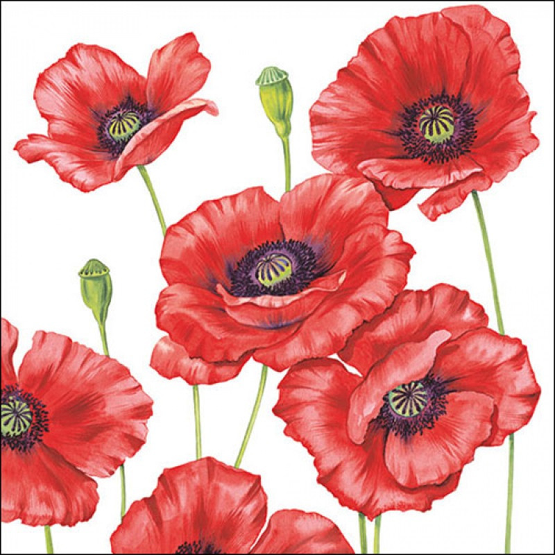 Klaprozen/poppy bloemen - 20x stuks - 33 x 33 cm - 3-laags -