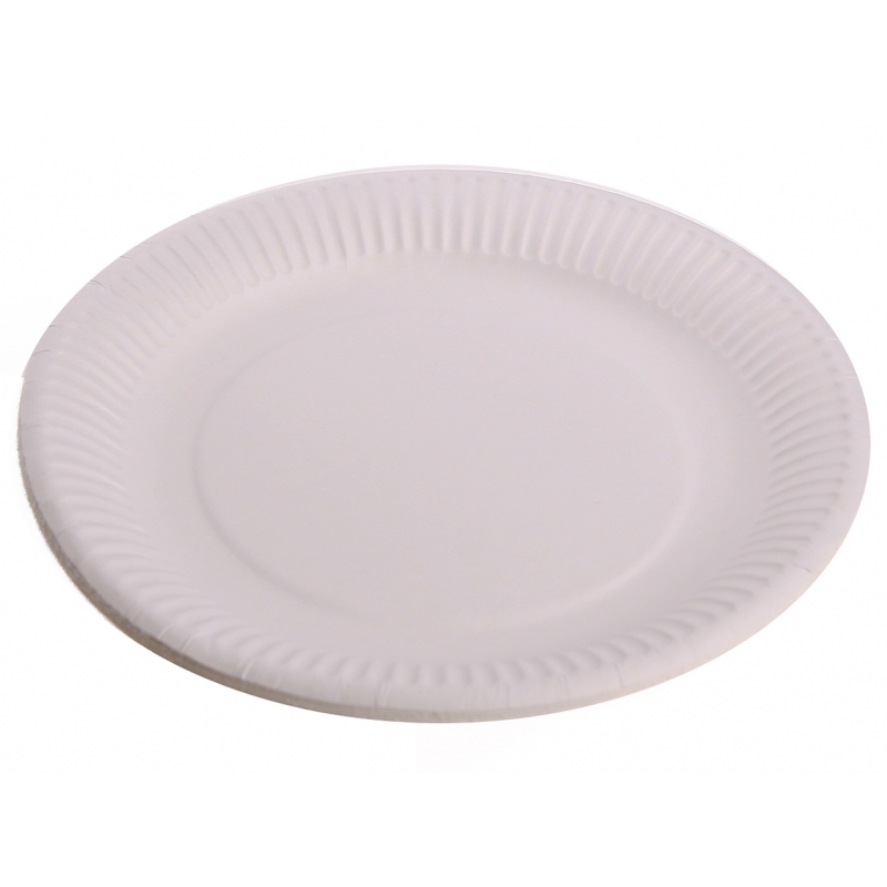 20x Kartonnen wegwerp bordjes wit -