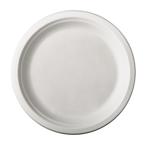12x Witte suikerriet dinerbordjes 26 cm biologisch afbreekbaar -
