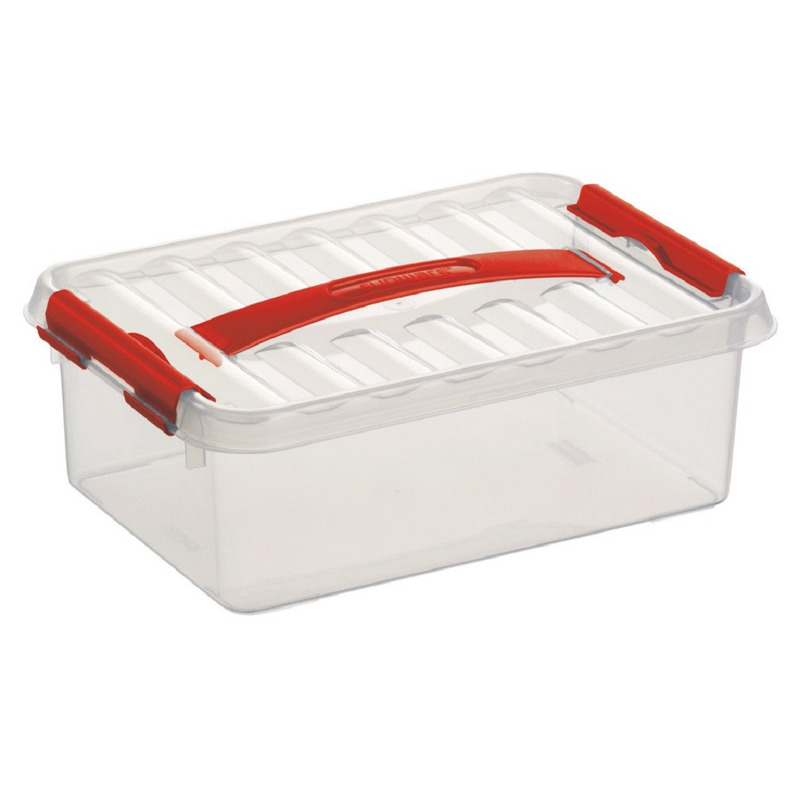 Opberg box/opbergdoos 4 liter 30 x 20 x 10 cm kunststof -
