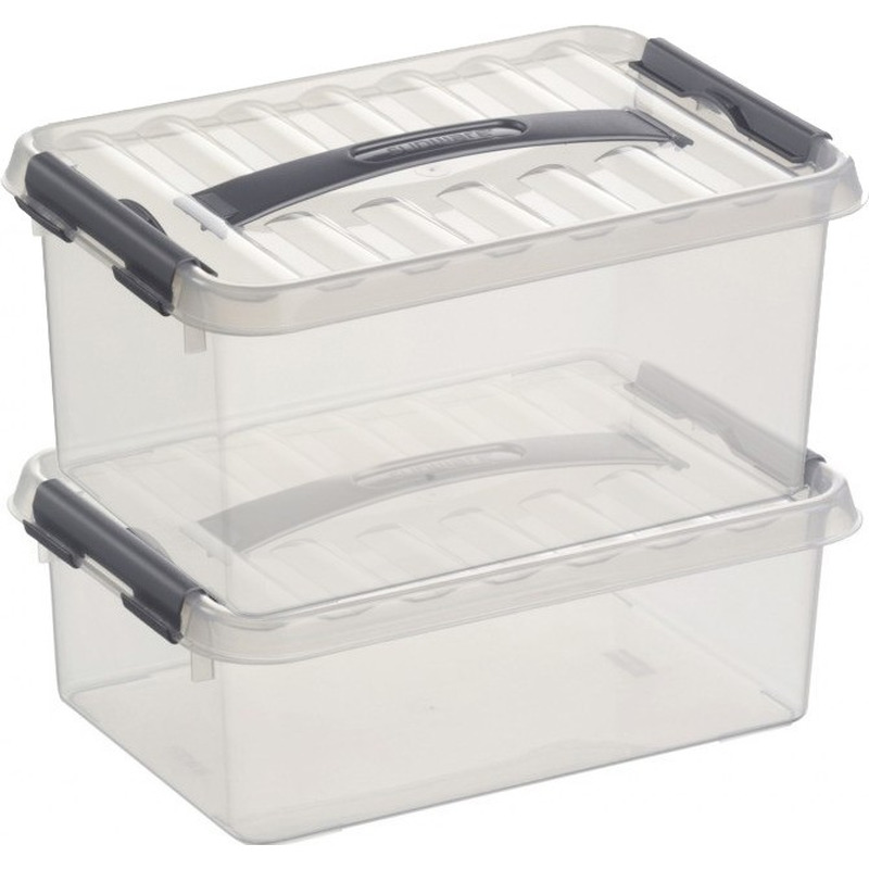 2x Opberg boxen/opbergdozen set 4 en 6 liter 30 cm kunststof -