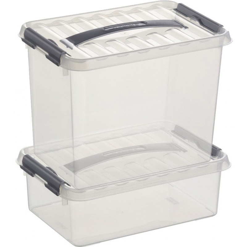 2x Opberg boxen/opbergdozen set 4 en 9 liter 30 cm kunststof -