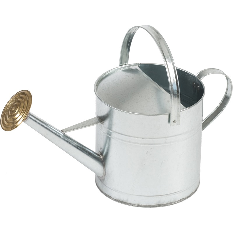 Ubbink Gieter - zilver - verzinkt staal - broeskop - 9 liter -