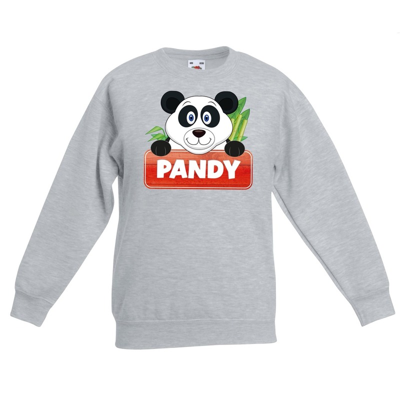 Sweater grijs voor kinderen met Pandy de panda 14-15 jaar (170/176) -