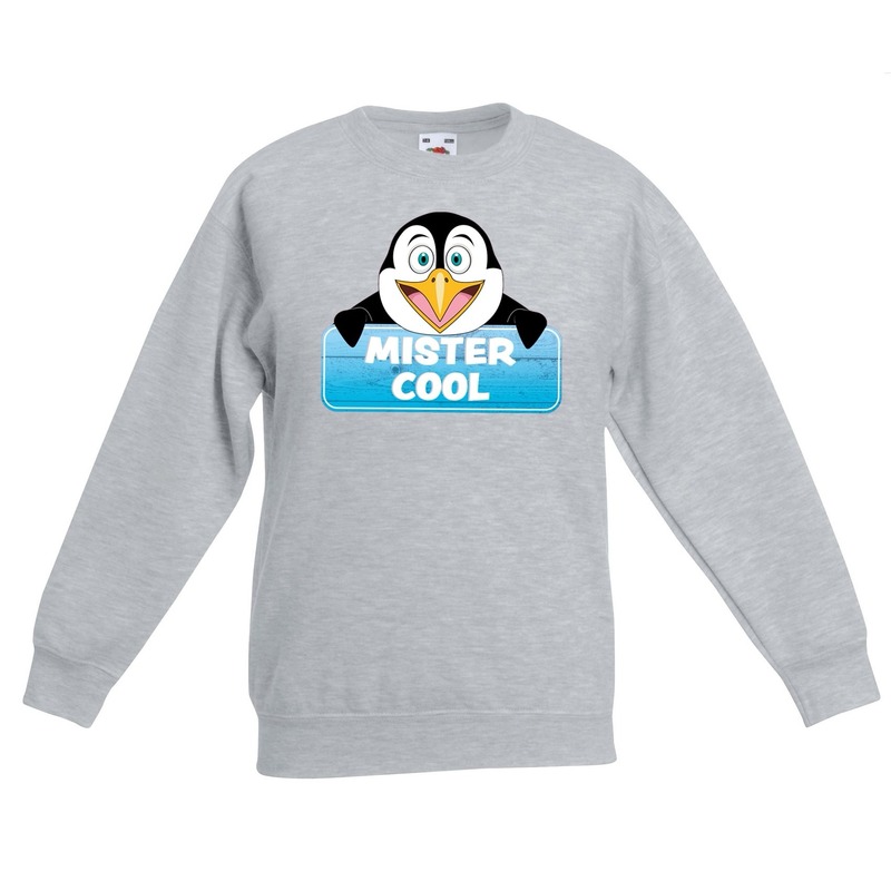 Sweater grijs voor kinderen met Mister Cool de pinguin 5-6 jaar (110/116) -