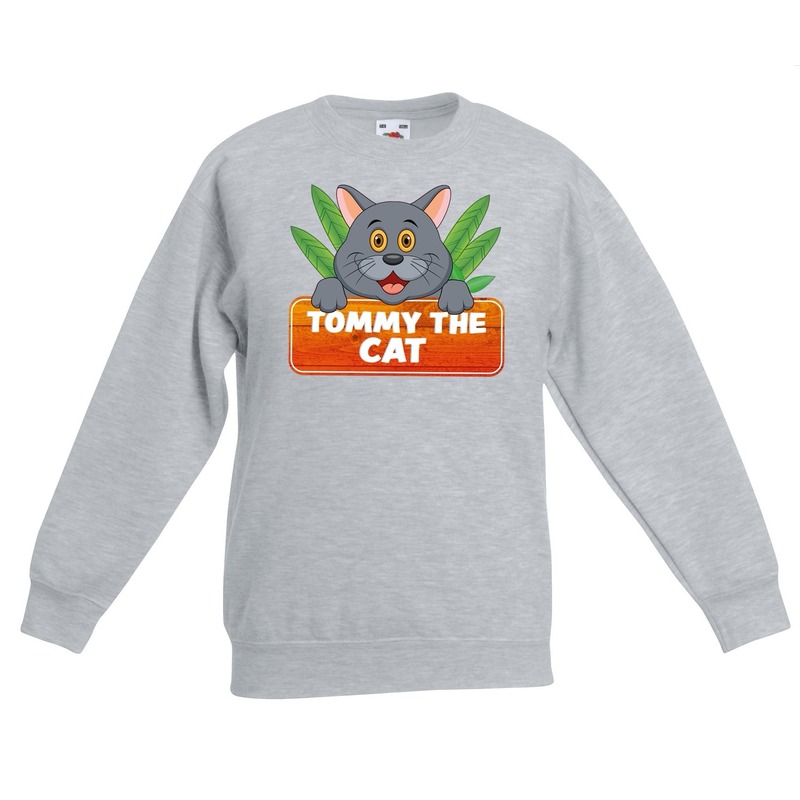 Sweater grijs voor kinderen met Tommy the Cat 3-4 jaar (98/104) -