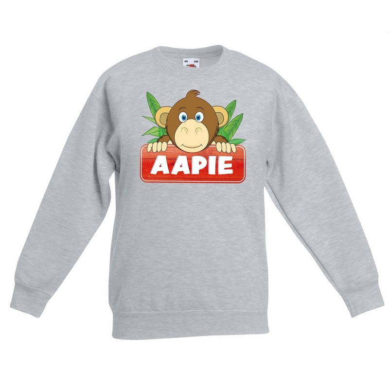 Sweater grijs voor kinderen met Aapie het aapje 12-13 jaar (152/164) -