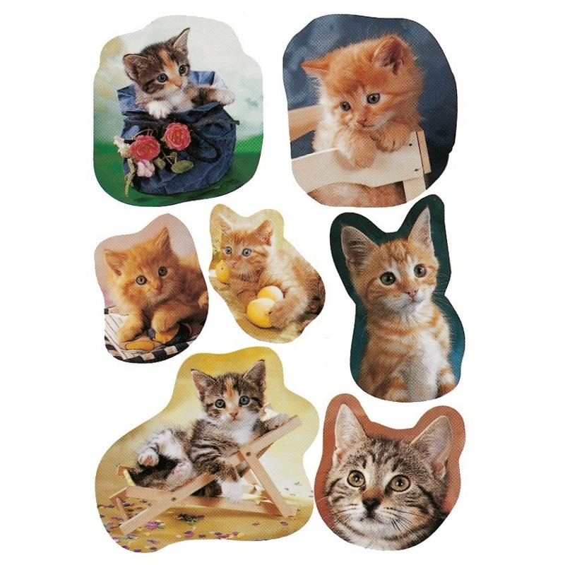 63x Katten/poezen dieren stickers -
