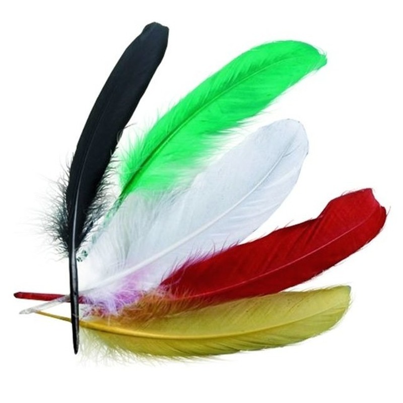 15x stuks gekleurde indianenveren 16 cm -