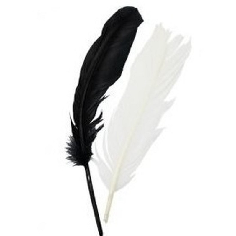 Iindianenveren/sierveren - 15x stuks - zwart/wit - 16 cm - Decoratie veertjes/veren -