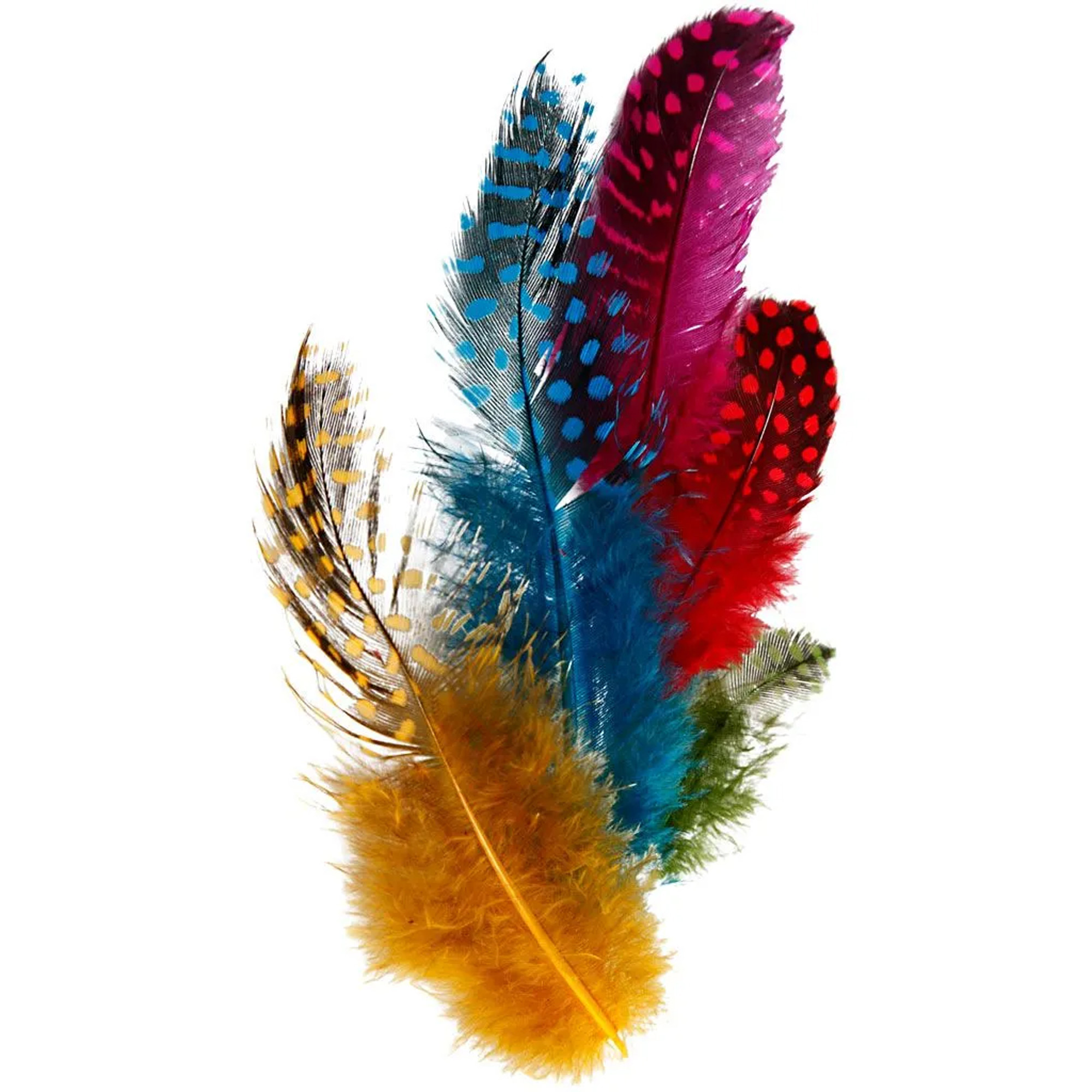 100x Gekleurde parelhoen veren - Vogel decoratie veertjes - hobby veren -