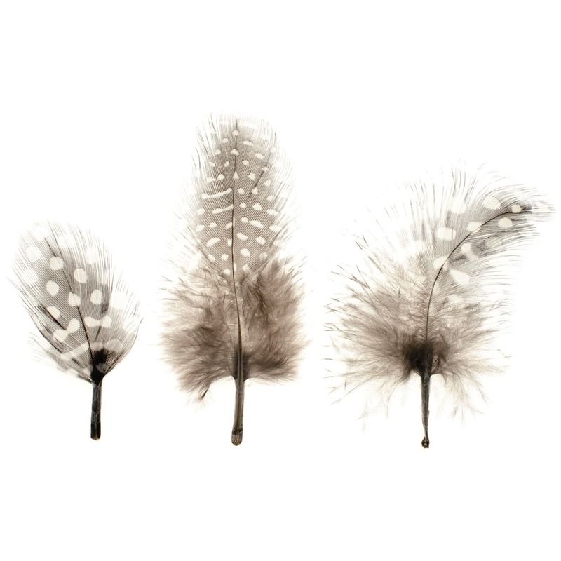 30x Natuurlijke parelhoen veren hobby/decoratie materiaal -