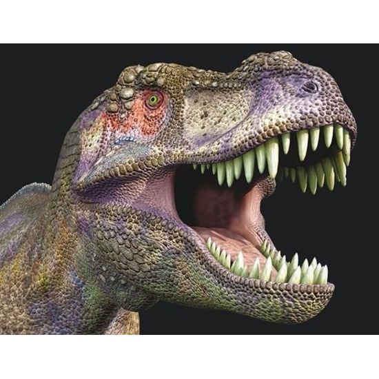 Dieren magneet 3D T-rex -