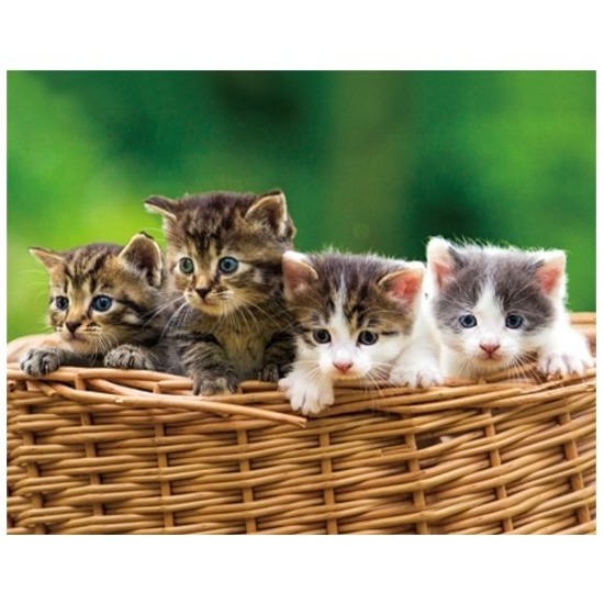 Dieren magneet 3D kittens in mand -