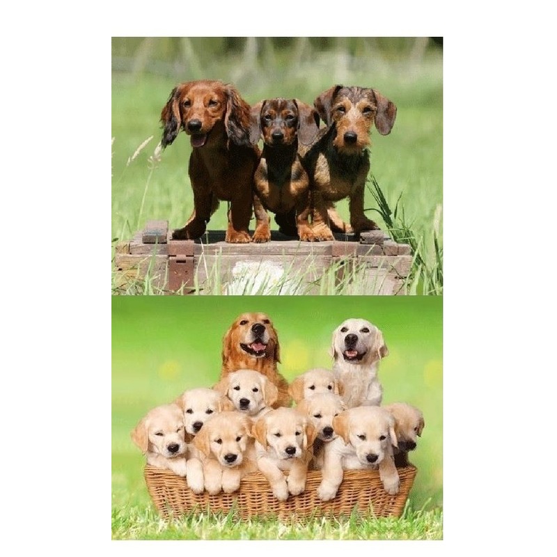 2x Dieren magneten 3D honden -