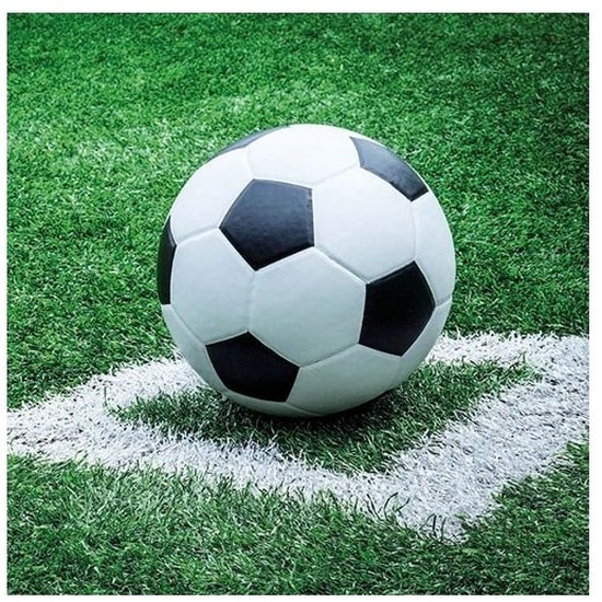 40x Voetbal thema servetten 33 x 33 cm -