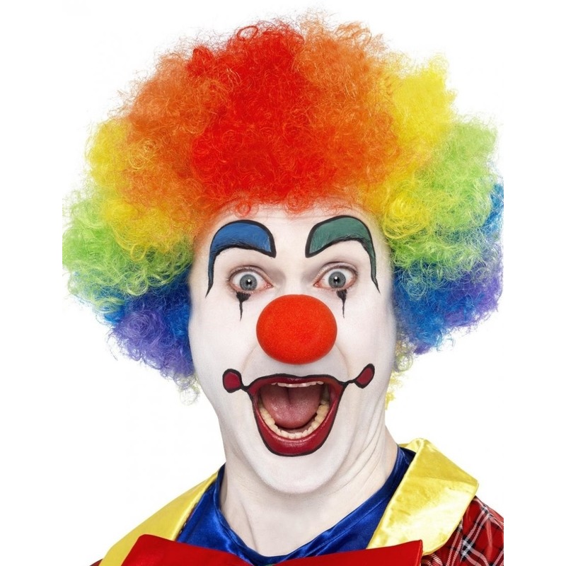 Carnaval verkleed Afropruik groot - regenboog kleuren - volwassenen - krullen - clown -
