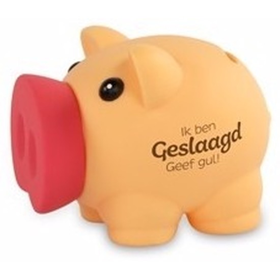 Spaarvarken geslaagd 10 cm -