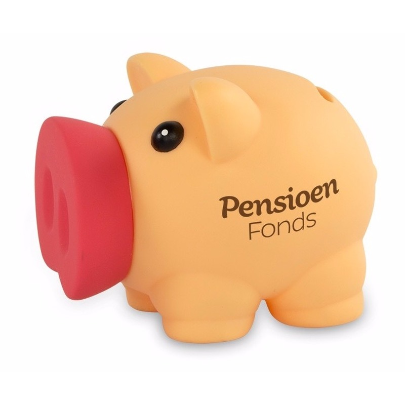 Cadeau spaarpot/Spaarvarken - Pensioenfonds - 10 cm - Kinderen -
