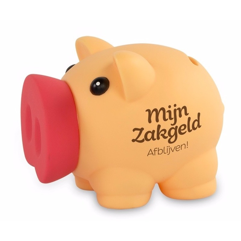 Cadeau spaarpot/Spaarvarken - Mijn zakgeld afblijven - 10 cm - Kinderen -