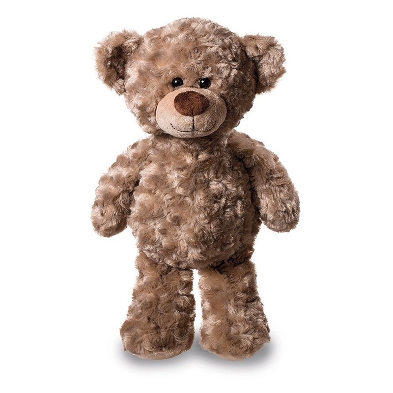 Pluche knuffel teddybeer knuffel 24 cm -