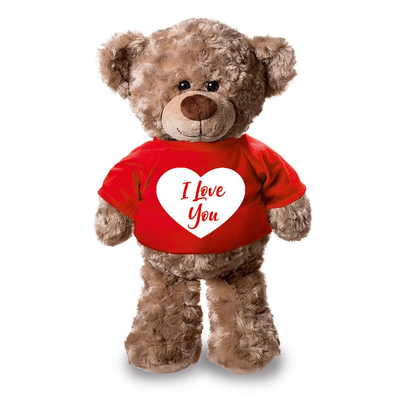 Pluche knuffel teddybeer 24 cm met I Love You hartje t-shirt -