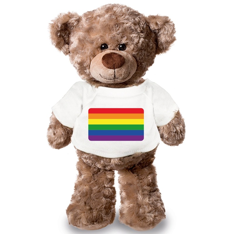 Knuffel teddybeer met Gaypride vlag t-shirt 43 cm -